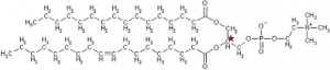 Triglycerid.kiral